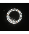 21,5cm / 24/18/12W LED-Einsatz mit Linsen - Flicker free, wählbare CCT, ersetzt G24, Ringlampen und Kompaktleuchtstofflampen