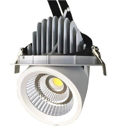 35W Ø16,5cm Downlight - Ausschnitt: Ø15,5 cm, Maße: Ø16,5 cm, Verstellbarer Winkel