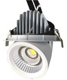 35W Ø16,5cm Downlight - Ausschnitt: Ø15,5 cm, Maße: Ø16,5 cm, Verstellbarer Winkel
