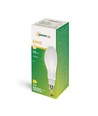 E27 36W LED-Lampe - 360°, mattiertes Glas