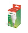 E14 6W LED-Leuchtmittel - R50