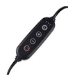 Reptilien Wärmelampe UVA/UVB - 50W, inkl. Leuchtmittel und Klemmhalter