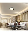 48W LED Deckenleuchte mit Fernbedienung - 3-in-1 CCT, dimmbar, Ø50cm, schwarz/grau