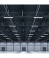 120cm 36W wasserdichte komplette LED-Leuchte - IP65, CREE, 6500K, 6 Jahre Garantie