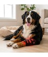 Lichttherapie-Gamasche für Hunde - Beine & Gelenke, Rot/Infrarot, Akku
