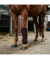 Rotlichttherapie Gamasche für Pferde - Beine & Gelenke, Infrarot, aufladbar