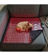 Lichttherapiematte für Hunde & Katzen - Rot & Nahinfrarot, 60x60 cm, 60W