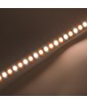 20m 8,5W/m CCT LED-Streifen RA93 - 24V DC, IP20, 192 LEDs pro Meter