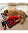 Lichttherapiematte für Hunde & Katzen - Rot & Nahinfrarot, 60x60 cm, 60W