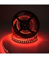 5m 19W/m RGB+CCT LED Streifen RA93 - 24V DC, 270 LED pro Meter, IP20