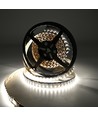 10m 19W/m RGB+CCT LED Streifen RA93 - 24V DC, 270 LED pro Meter, IP20