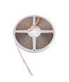 20m 7W/m CCT LED Streifen RA95 - 24V DC, IP20, 288 LEDs pro Meter