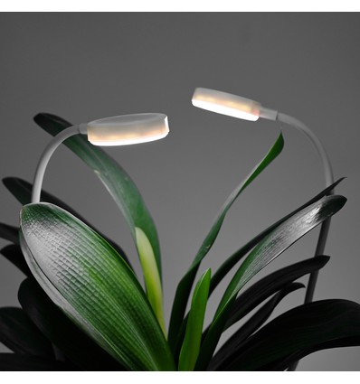 2er Set Flexible Pflanzenleuchte mit Erdspieß - 12W, Timer, 40cm