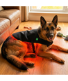 Lichttherapie-Decke für Hunde - Infrarot, inkl. Powerbank, Großes Modell 80 x 40 cm