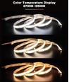 10m 10W/m CCT COB-LED Streifen RA97 - 24V DC, IP20, 576 LEDs pro Meter