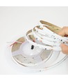5m RGBWIC COB LED Streifen - 24V DC, 784 LED 20W/m, IP20