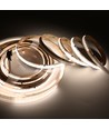 5m RGBWIC COB LED Streifen - 24V DC, 784 LED 20W/m, IP20