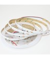 5m RGBWIC COB LED Streifen - 24V DC, 784 LED 20W/m, IP20