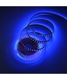 5m 10W/m UV 400 nm LED-Streifen - 24V DC, IP20, 120 LEDs pro Meter