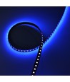 5m 10W/m UV 400 nm LED-Streifen - 24V DC, IP20, 120 LEDs pro Meter