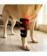 Lichttherapie-Gamasche für Hunde - Beine & Gelenke, Rot/Infrarot, Akku