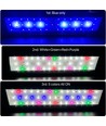 75-93 cm Aquarienleuchte - 22W LED, weiß/blau/rot/grün/lila, verstellbare Länge, IP66