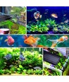 75-93 cm Aquarienleuchte - 22W LED, weiß/blau/rot/grün/lila, verstellbare Länge, IP66