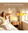 Wake-up Light Lichtwecker, Sonnenaufgangseffekt - Bluetooth 5.3 Lautsprecher, Schlafklänge, dimmbar