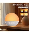 Wake-up Light Lichtwecker, Sonnenaufgangseffekt - Bluetooth 5.3 Lautsprecher, Schlafklänge, dimmbar