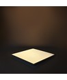 60x60 LED Panel 36W (rückseitig beleuchtet) - UGR19, inkl. Philips Treiber, weißer Rand