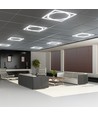 60x60 LED Octagon Borderline Panel, 72W - 6500K, Dual Lifud Treiber, flimmerfrei