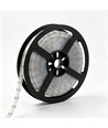5m 13W/m RGB Dotless COB-LED Streifen - 24V DC, IP67, 576 LED pro Meter