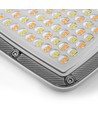 50W LED-Fluter CCT - IP65, 3 Lichtfarben, Außenbereich