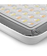 50W LED-Fluter CCT - IP65, 3 Lichtfarben, Außenbereich