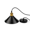 Schwarze Ø22cm Pendelleuchte - E27 Fassung, 2m Kabel, Schwarz/Messing