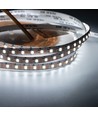 10m 9W/m CCT LED Streifen RA95 - 24V DC, 400 LED/m, 8mm breit, 2m Kabel