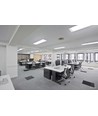84,9cm / 14W T5PRO85 LED-Röhre - Für Umbau