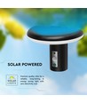 2W LED Solar Gartenleuchte mit Sensor - IP54, 3000K, Schwarz