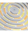 150W LED Hallenstrahler - CCT, weiß
