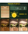 100W LED Pflanzenlampe – Vollspektrum mit IR & UV, 30x40cm