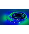 5m 12W/m RGBIC LED-Streifen - 24V DC, IP20, 60 LEDs pro Meter
