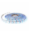 RGB+WW Set: 5m LED-Streifen, 60 LEDs, 10,8W, Controller und Transformator