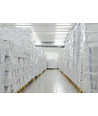 120cm 2x18,5W Limea T8 LED Doppelarmatur - IP65 wasserdicht, inkl. LED-Röhren