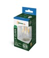 Spectrum 3,8W LED-Lampe - 212 lm/W, A60, Glühfaden, klares Glas, E27
