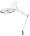 LED Lupenlampe mit Klemme 8W - Weiß
