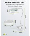 LED-Lupenlampe mit Schwanenhals 6W - Weiß, Tischlampe, Klemme und Fuß