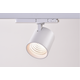 30W 3-Phasen dimmbarer RA90 Schienenstrahler - 170lm/w, Weiß, CASAMBI