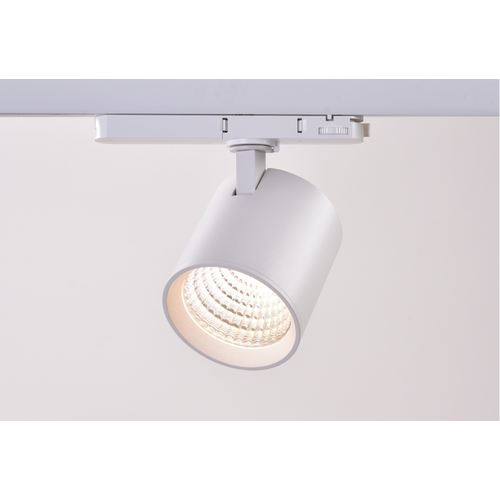30W 3-Phasen dimmbarer RA90 Schienenstrahler - 170lm/w, Weiß, CASAMBI