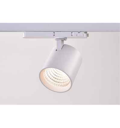 30W 3-Phasen dimmbarer RA90 Schienenstrahler - 170lm/w, Weiß, CASAMBI