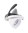 30W Ø16,5cm Downlight - Ausschnitt: Ø15 cm, Maße: Ø16,5 cm, 4100lm, Verstellbarer Winkel